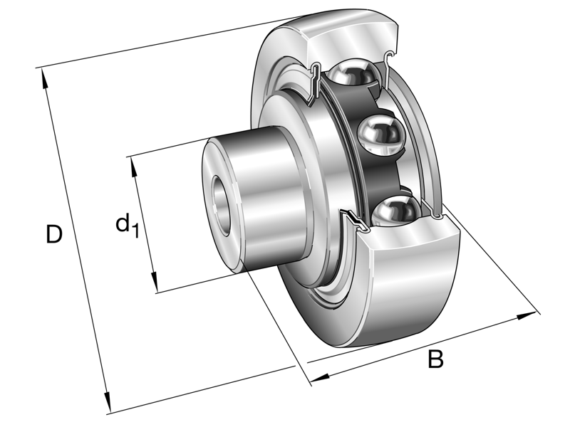 INA ZL205-DRS LØBERULLE MED AKSELTAP 