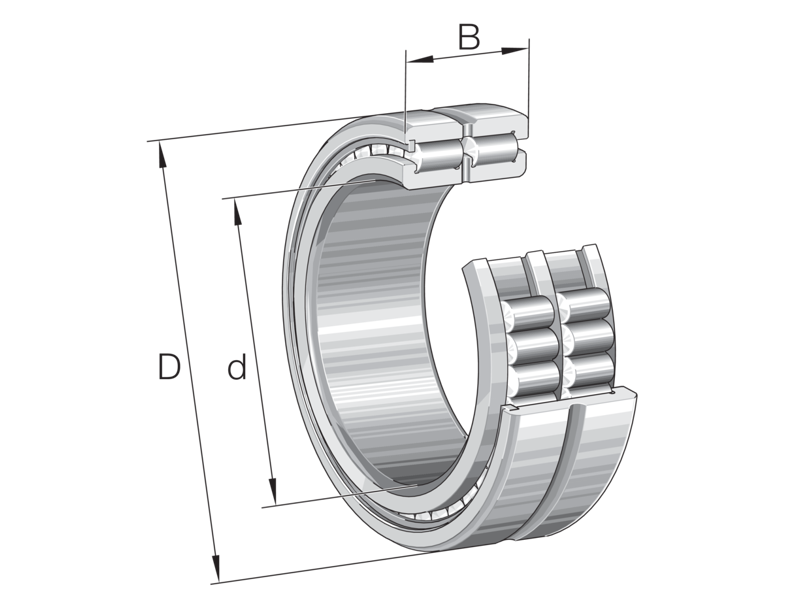 INA SL185064-TB-XL-BR-C3 CYLINDRICAL ROLLER BEARING