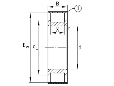 INA RSL182206-A-XL CYLINDRICAL ROLLER BEARING