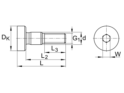 INA LFZ12 ZENTRIC BOLT
