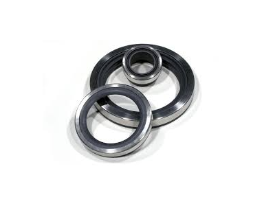 OIL SEAL 20X30X7 M/PTFE W/LIP STAINLESS