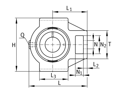 INA RTUE100-XL FLANGE