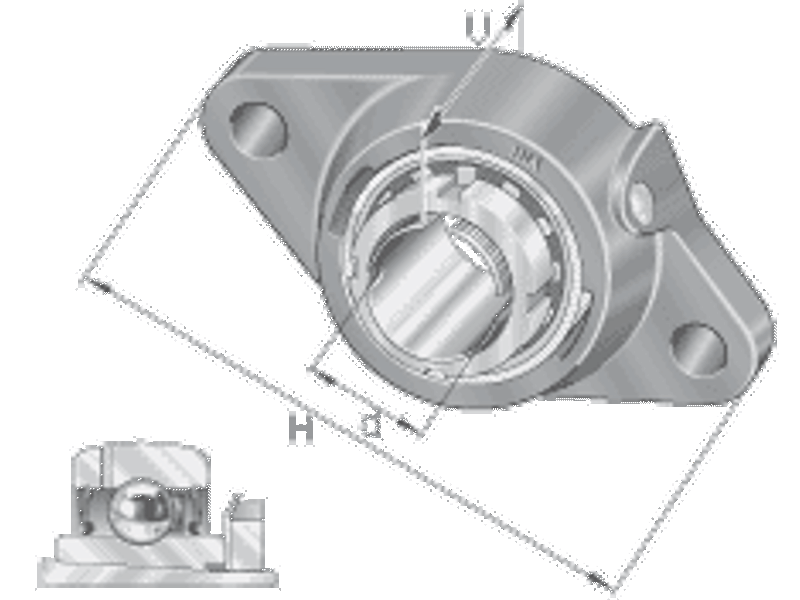 RCJTA25 FLANGELEJE RCTTA 25 CJT05 + GSH 25 RRB