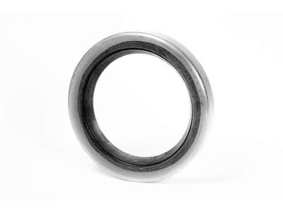 OIL SEAL 10X16X6 W/STEEL CAGE