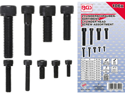 CYLINDERSKRUESORTIMENT 6 KT. HEXAGON 4-5-6-8-10 MM (106 DELE)