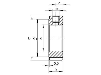 INA ZM75 PRÆCISIONSMØTRIK M75X2 RADIAL M/NOT