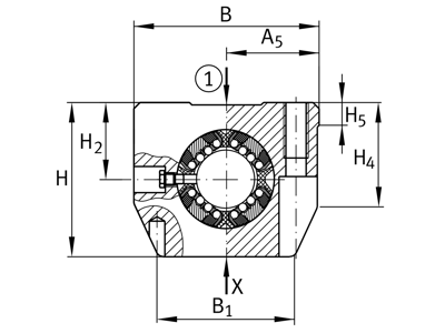 INA KGSNS20-PP-AS KOMPLET KUGLEBØSNING 