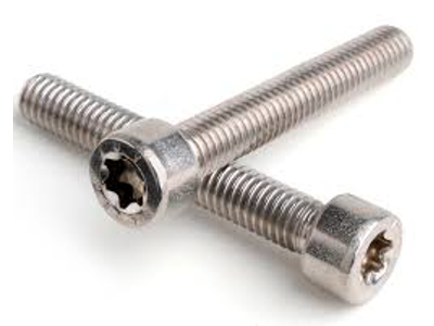 TORX SCREW M8X25 FZB