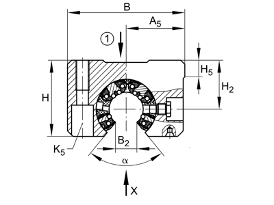 INA KGSNOS30-PP-AS LINEAR BALL BEARING UNIT