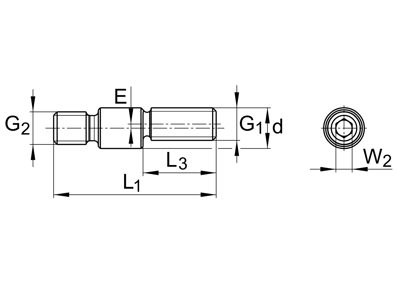 INA LFE12X45-A1 FIXING SCREW