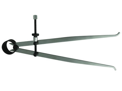 Diesella Internal Spring Caliper 250 mm